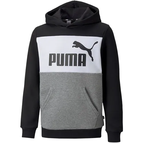 Puma Colorblock Sweatshirt jr