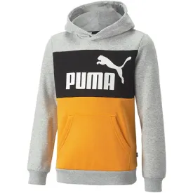 Puma Colorblock Sweatshirt jr