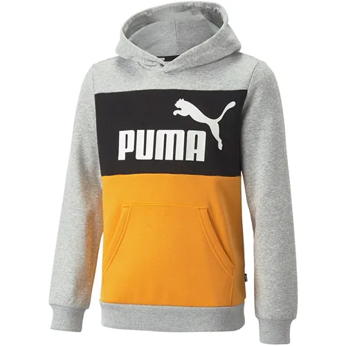 Puma Colorblock Sweatshirt jr
